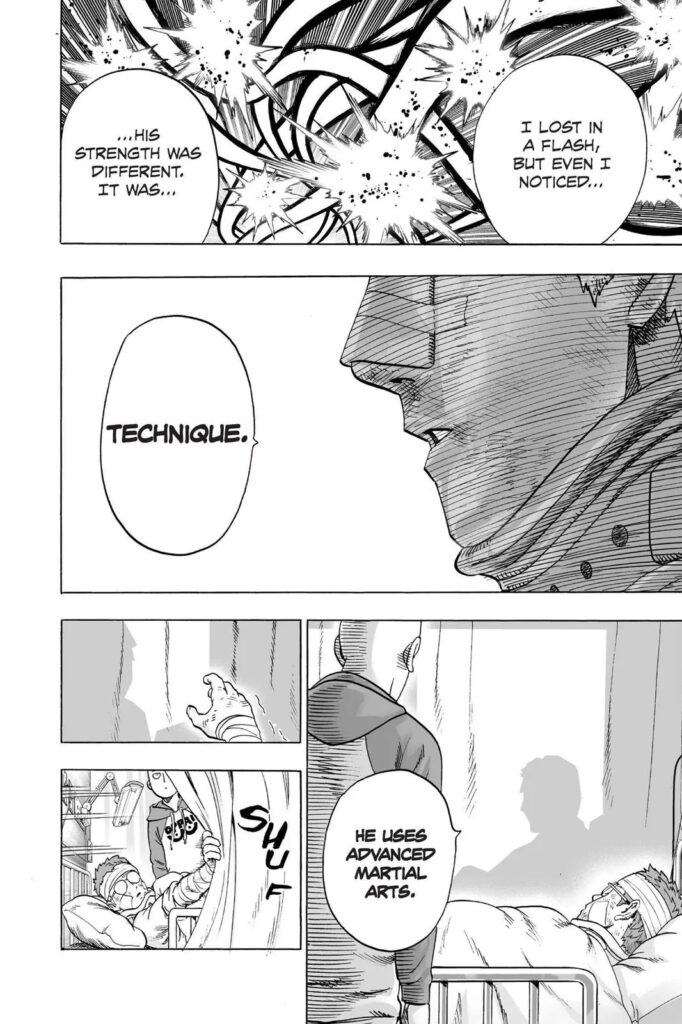Manga punch man (15)