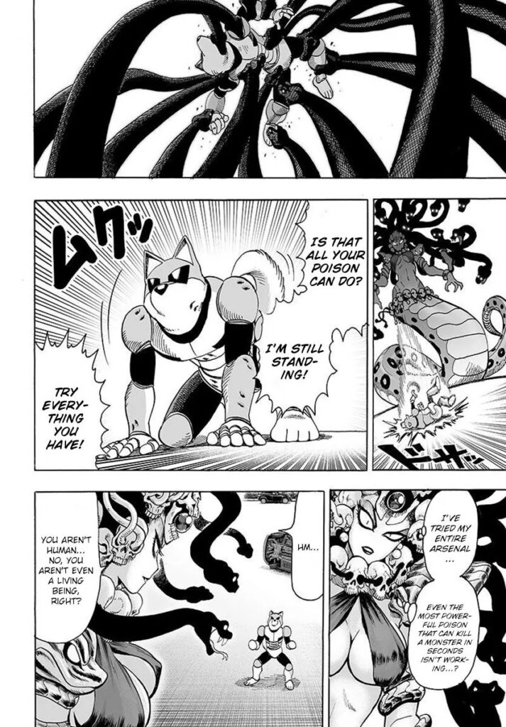 One punch man series (16)