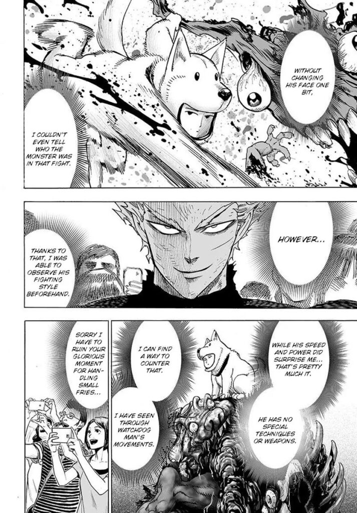 One punch man series (28)