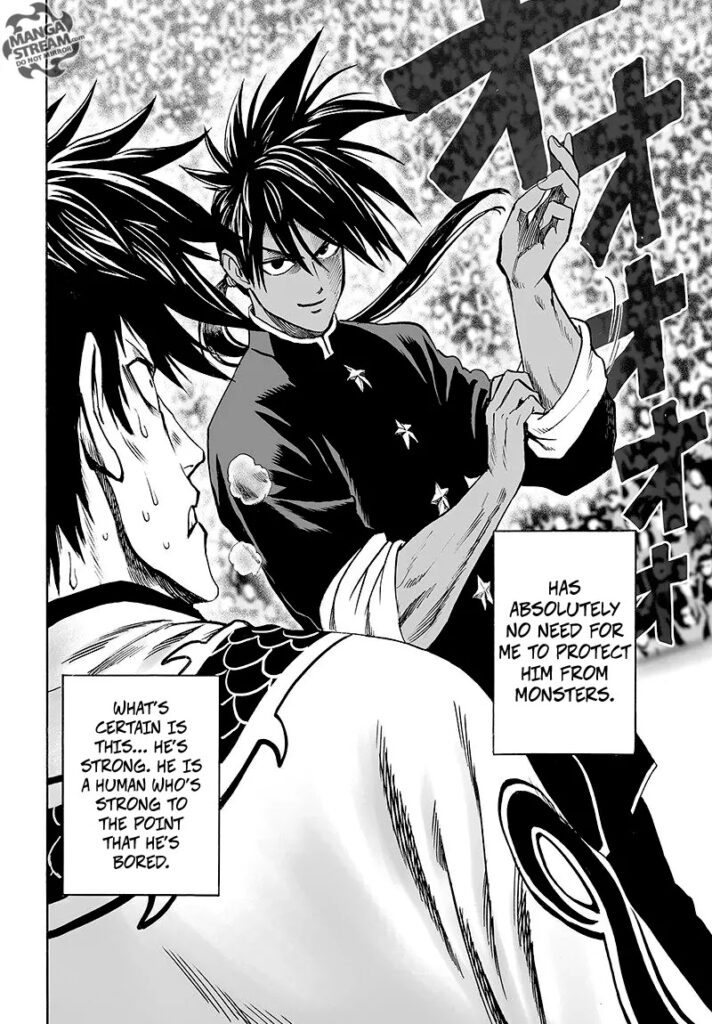 Punch man (9)