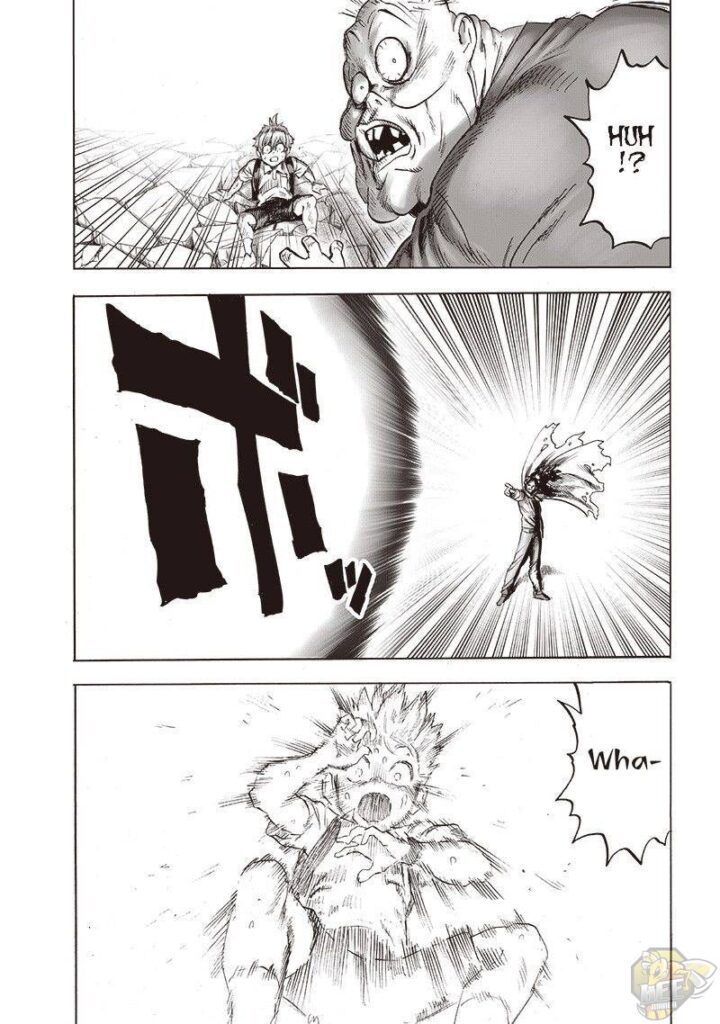 opm-manga-24-2-720x1024