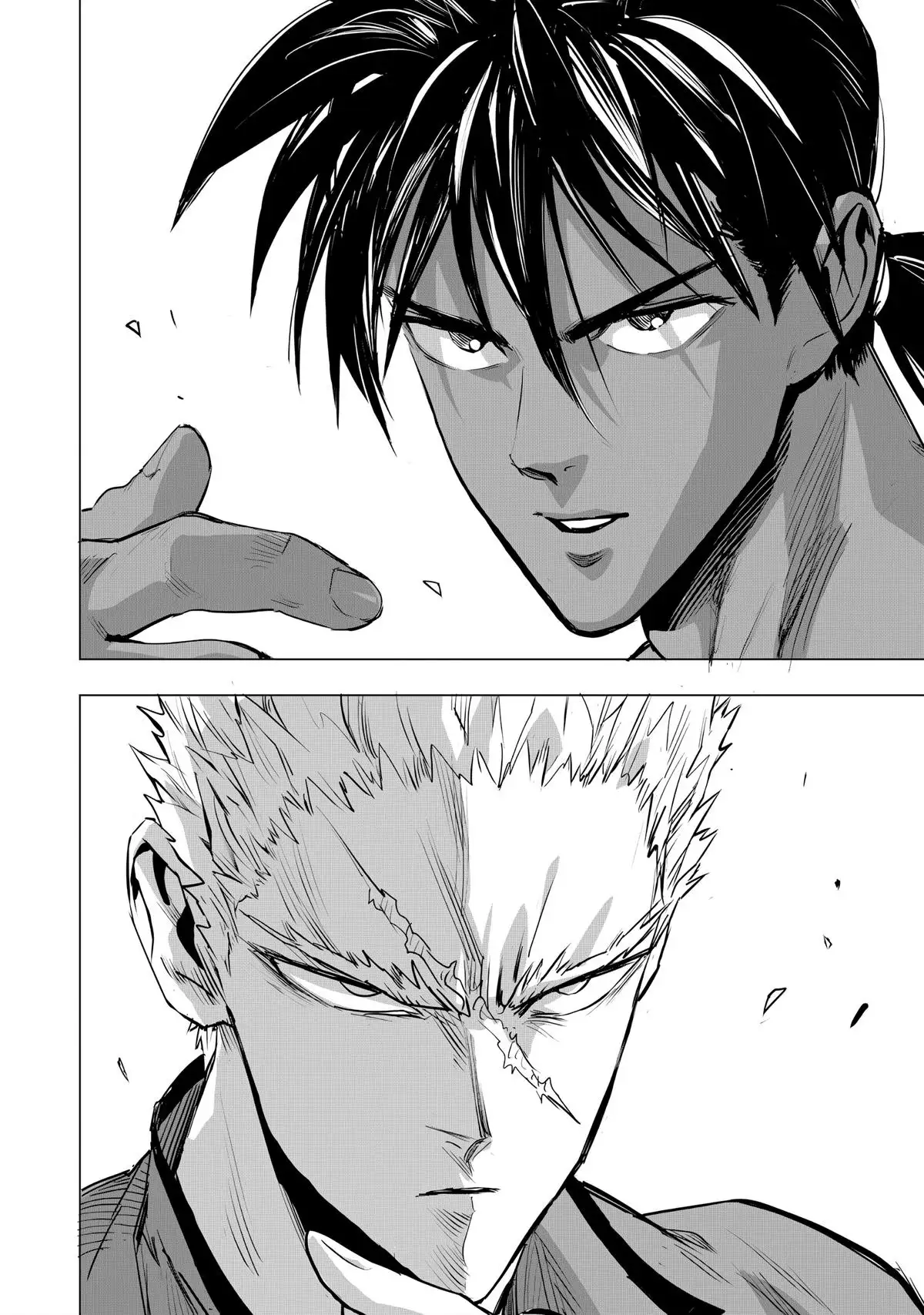 One-Punch Man, Chapter 236 image One-Punch Man_Ch236_Page014