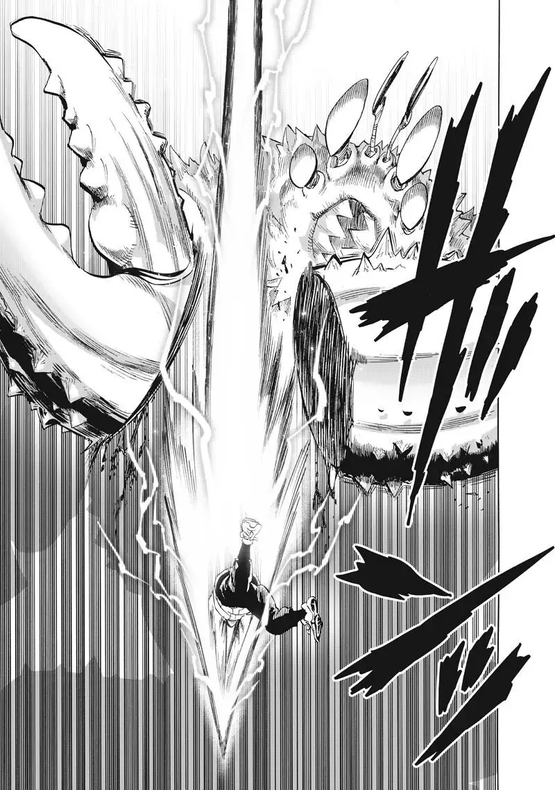 One-Punch Man, Chapter 225 image One-Punch Man_Ch225_Page011